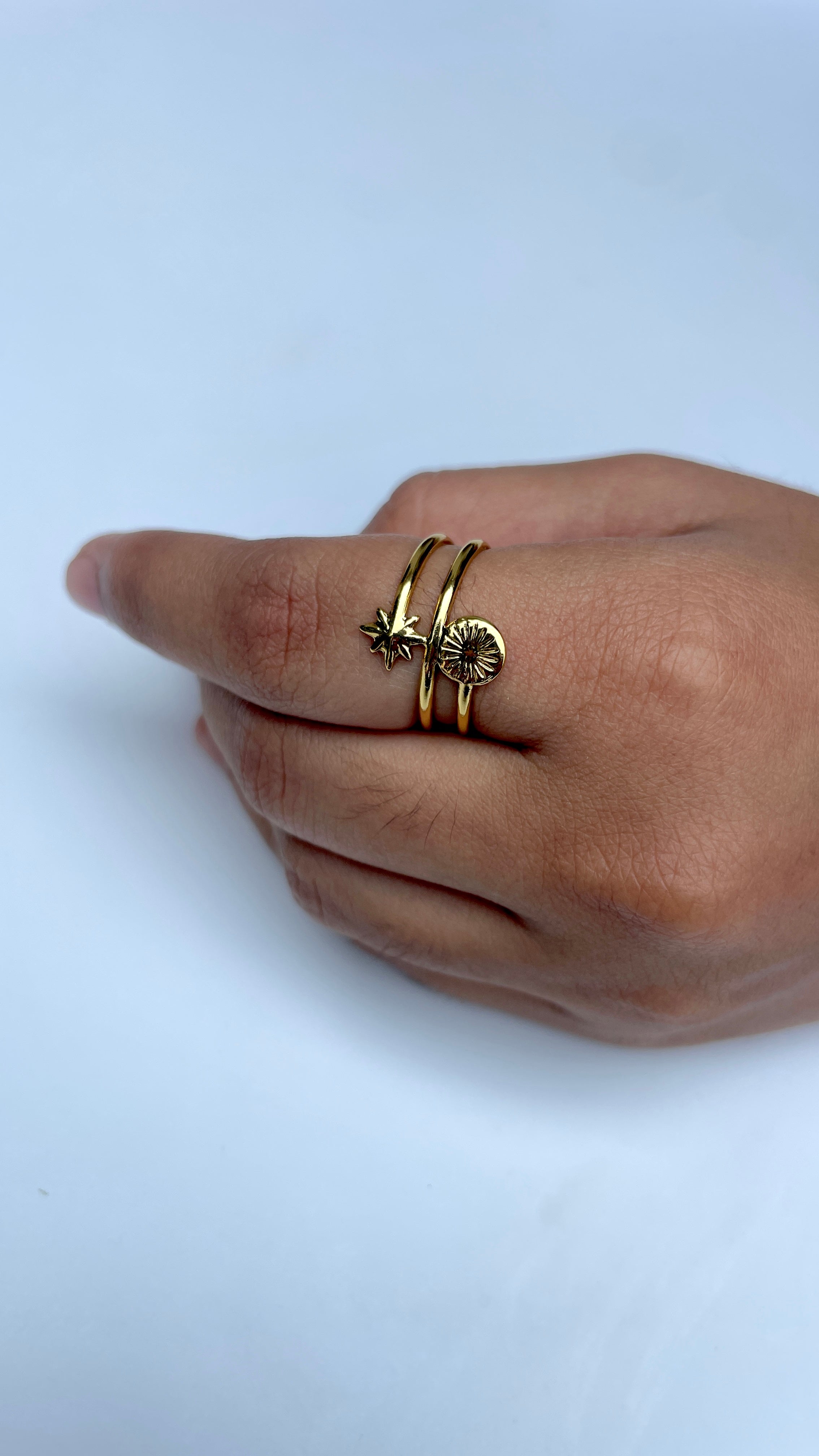 Adjustable Day and Night Ring