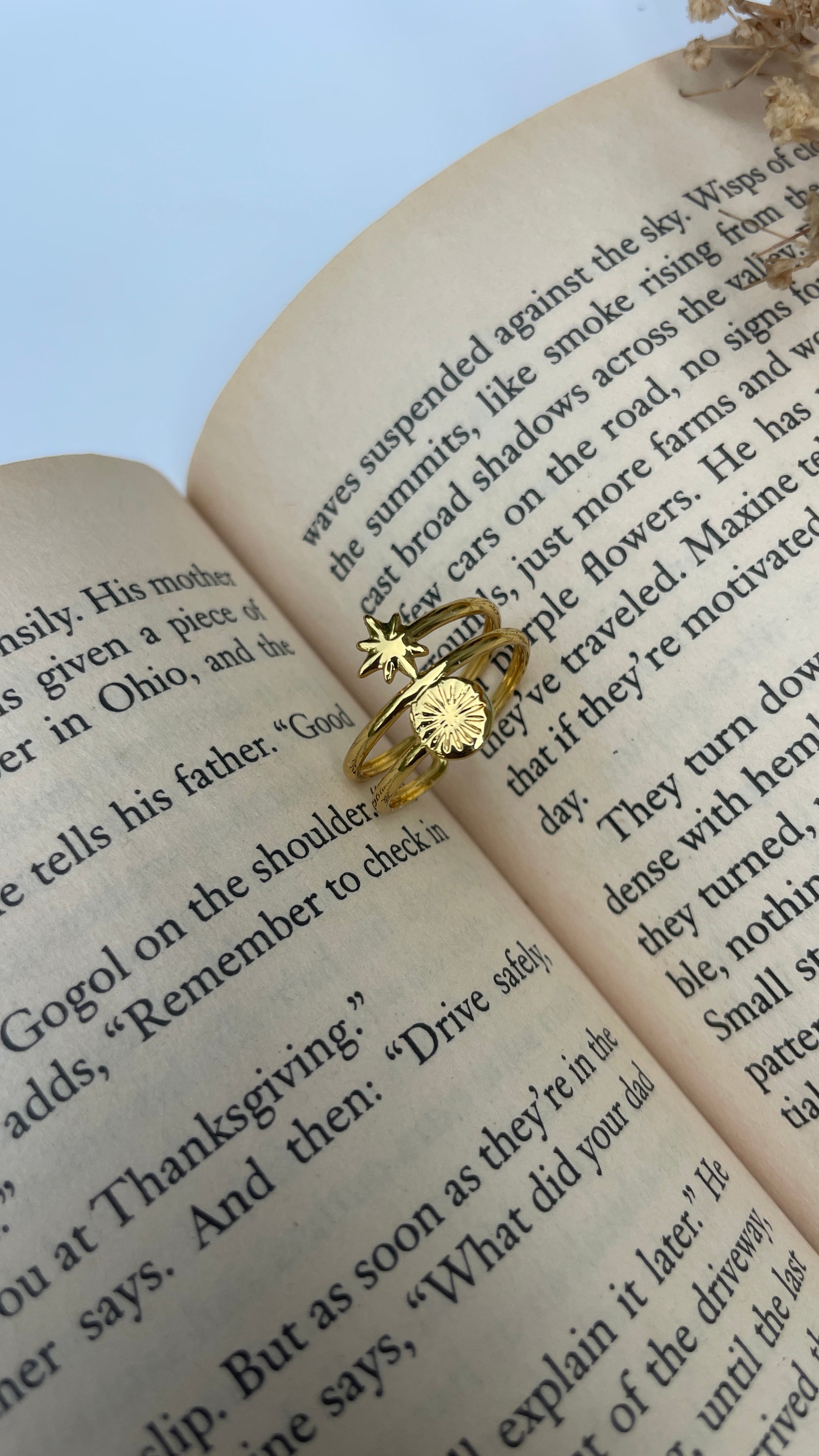 Adjustable Day and Night Ring